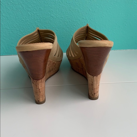 Levity Platforms - Picture 4 of 6